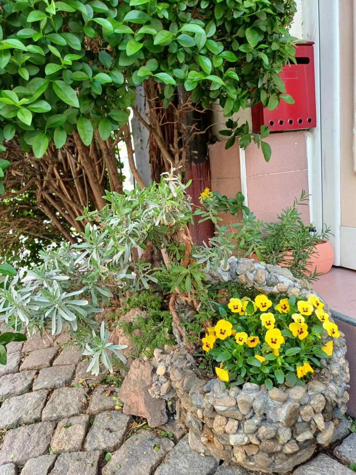 Residence Art Guest House Plovdiv Extérieur photo